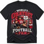 Worlds Okayest Football Fan Tampa Bay